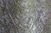 Carbost fibreglass roof work